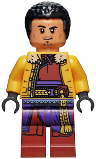 Minifig sh0779