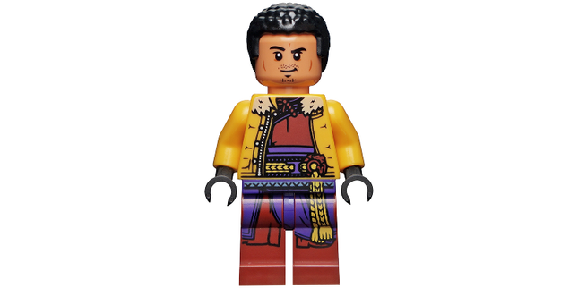 Minifig sh0779