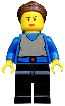 Minifig sw0025