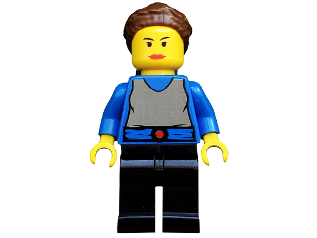 Minifig sw0025