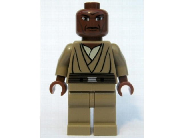 Minifig sw0220