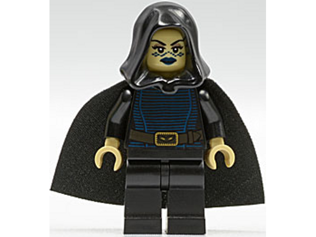 Minifig sw0269