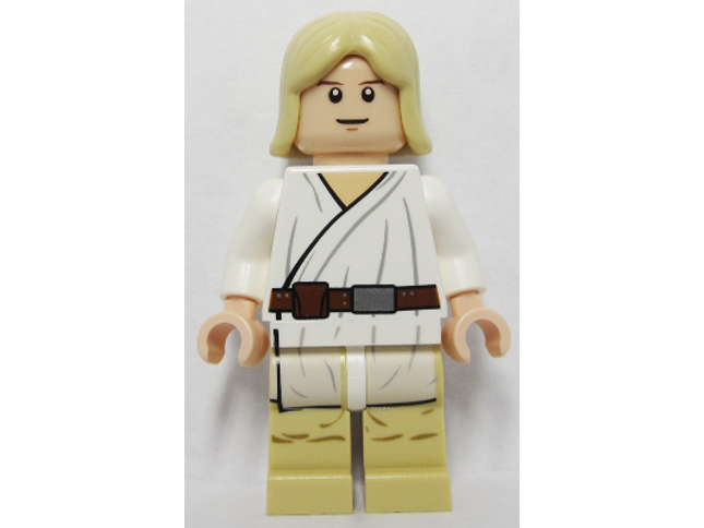 Minifig sw0273