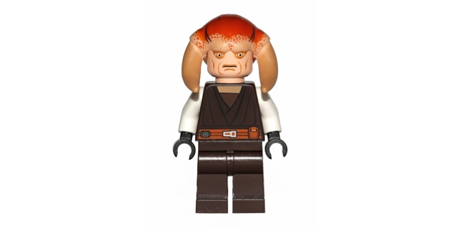 Minifig sw0308