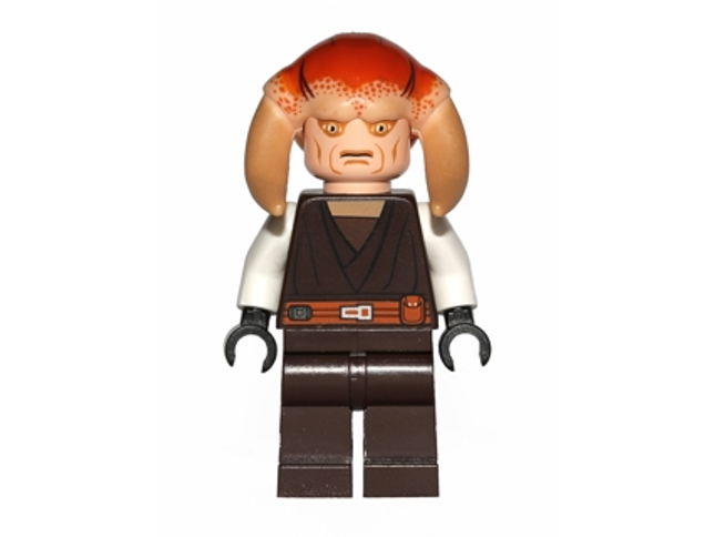 Minifig sw0308