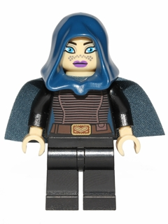 Minifig sw0379