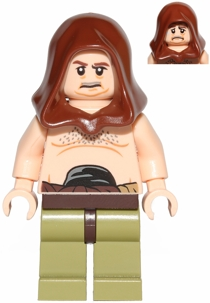 Minifig sw0434