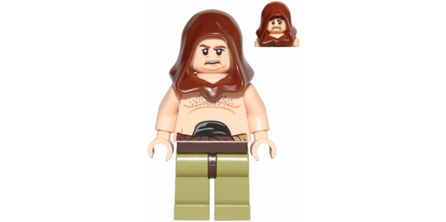Minifig sw0434