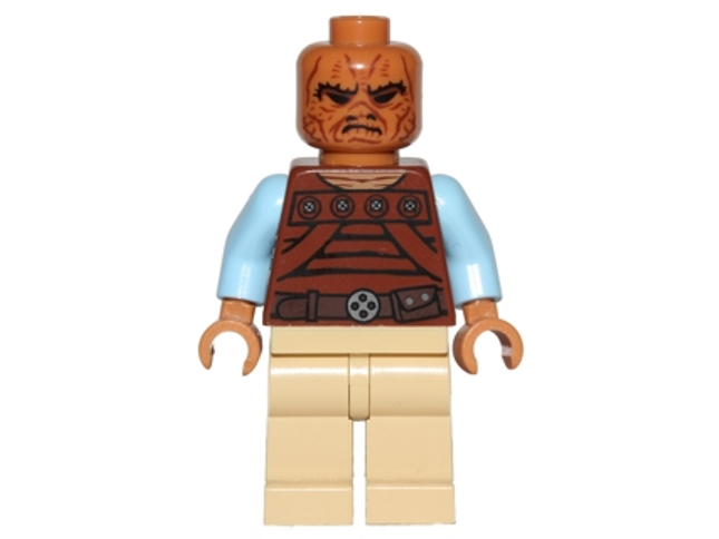 Minifig sw0487