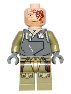 Minifig sw0498