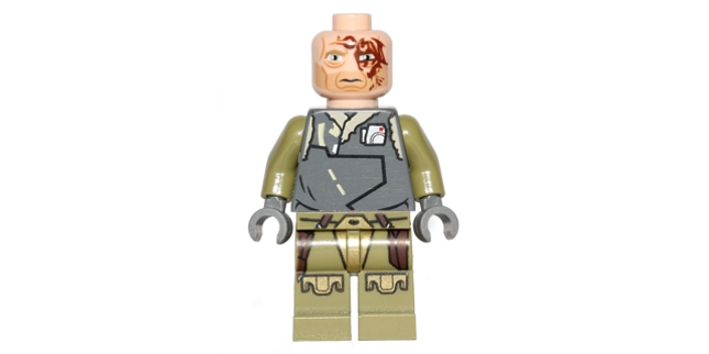 Minifig sw0498