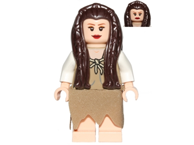 Minifig sw0504