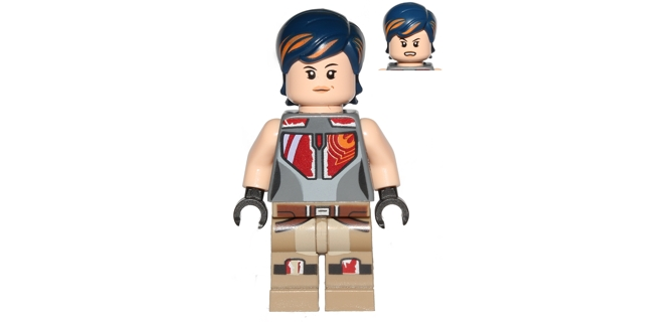 Minifig sw0616