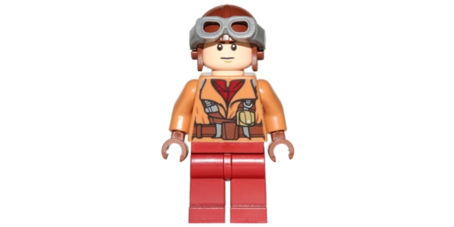 Minifig sw0641