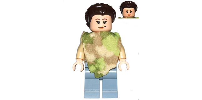 Minifig sw0643
