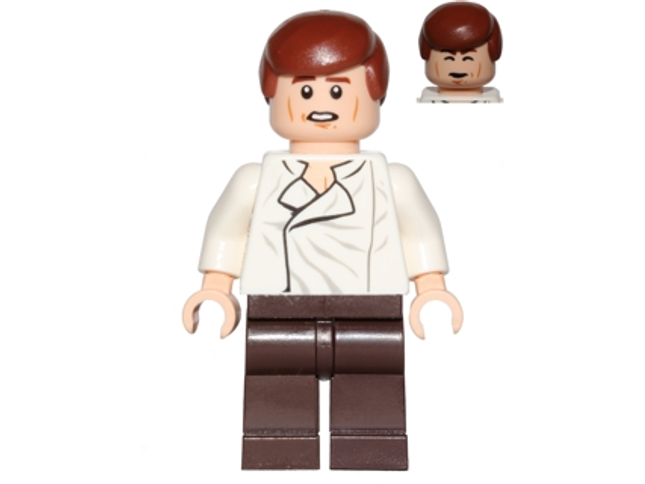 Minifig sw0714