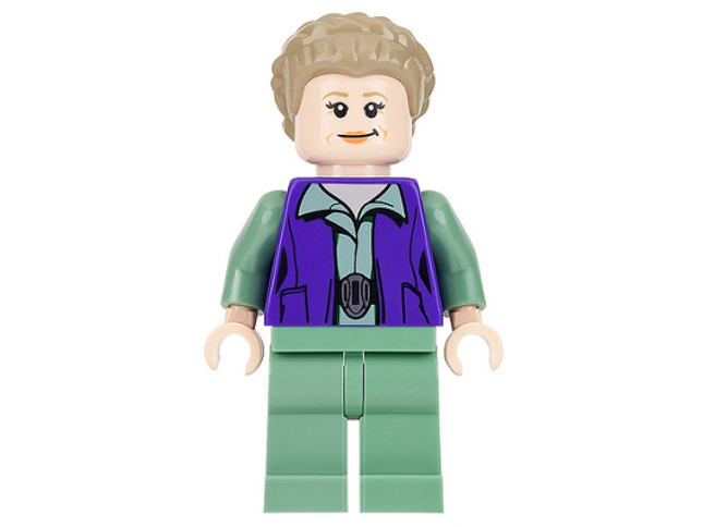 Minifig sw0718