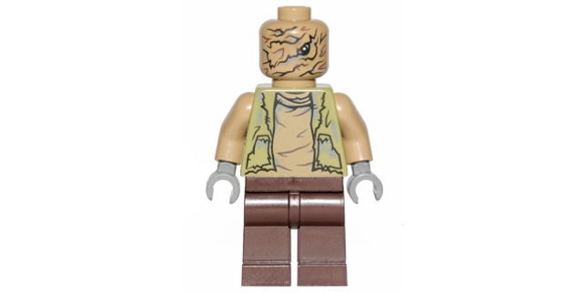 Minifig sw0723