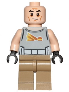 Minifig sw0748