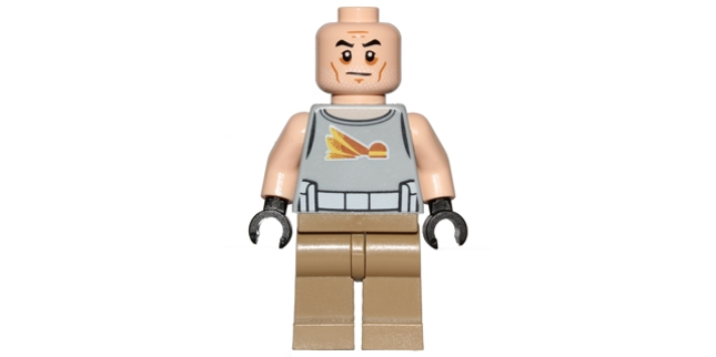 Minifig sw0748