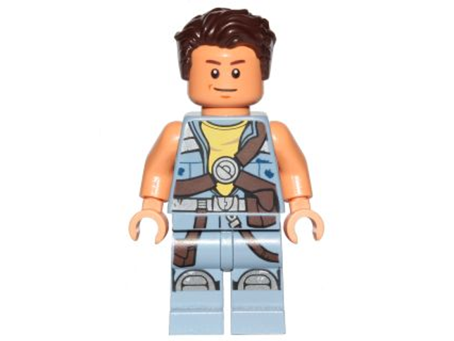 Minifig sw0754