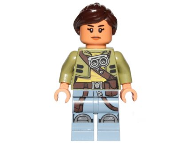 Minifig sw0755