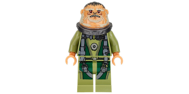 Minifig sw0780