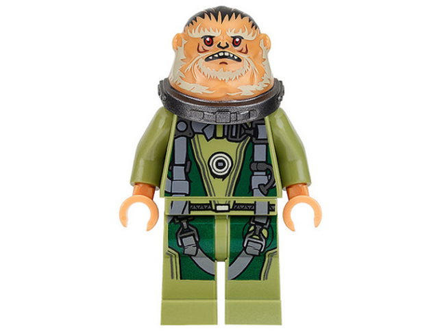 Minifig sw0780