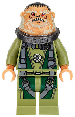 Minifig sw0780