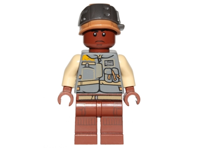 Minifig sw0784