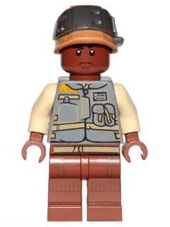 Minifig sw0784