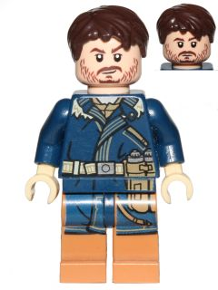 Minifig sw0790
