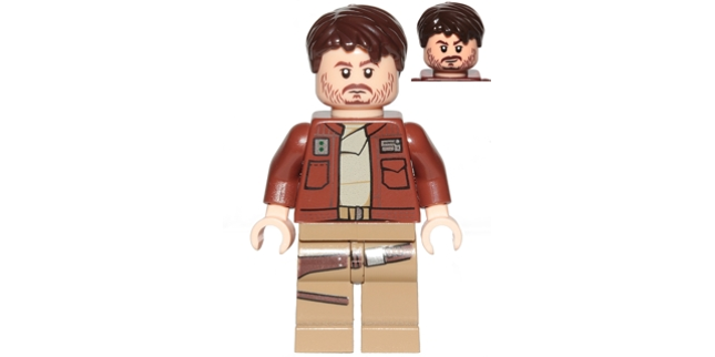 Minifig sw0813
