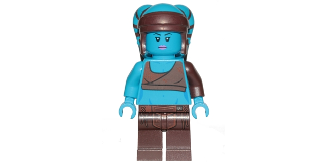 Minifig sw0833