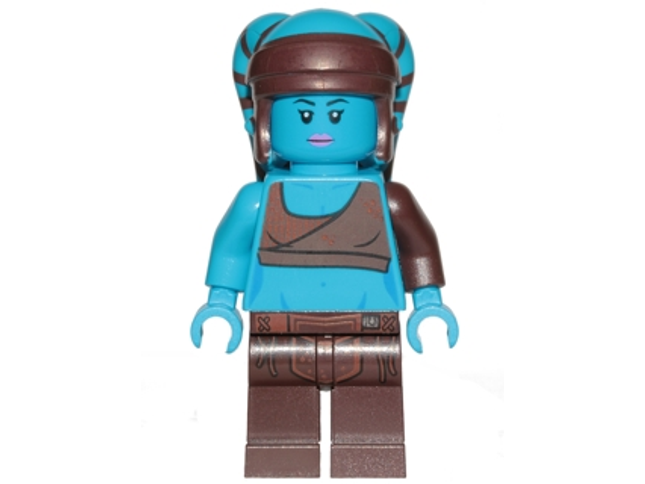 Minifig sw0833