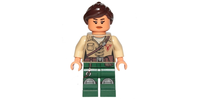 Minifig sw0848