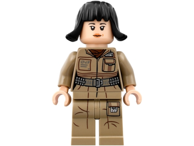 Minifig sw0857