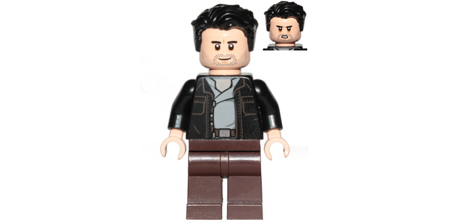 Minifig sw0868