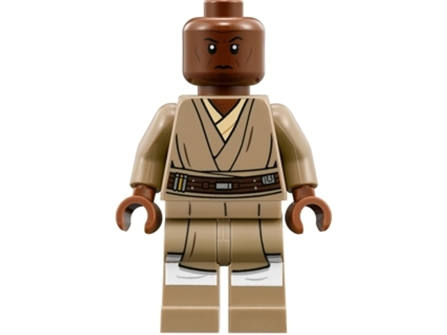 Minifig sw0889