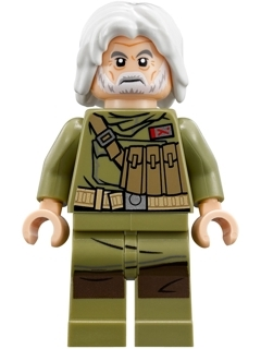 Minifig sw0891