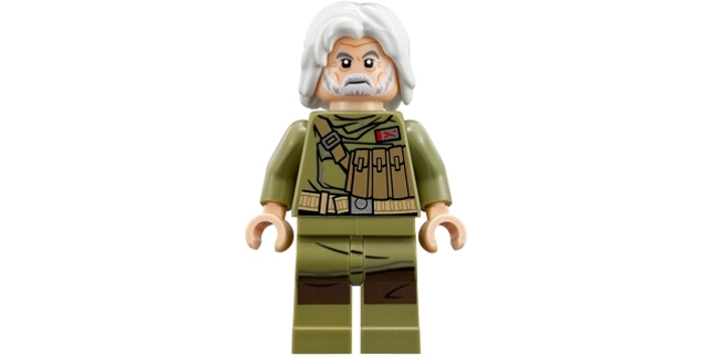 Minifig sw0891