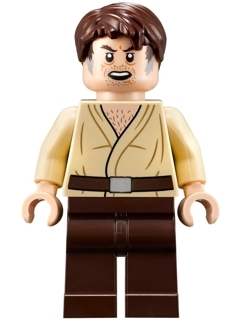 Minifig sw0893
