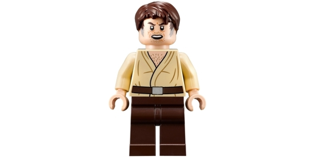 Minifig sw0893