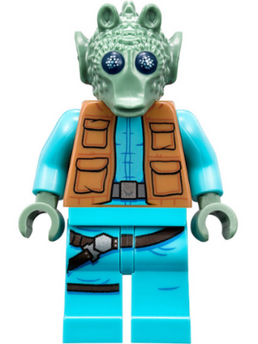 Minifig sw0898