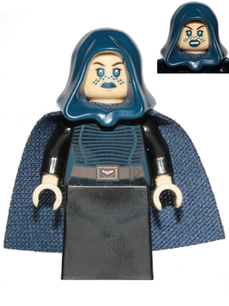 Minifig sw0909