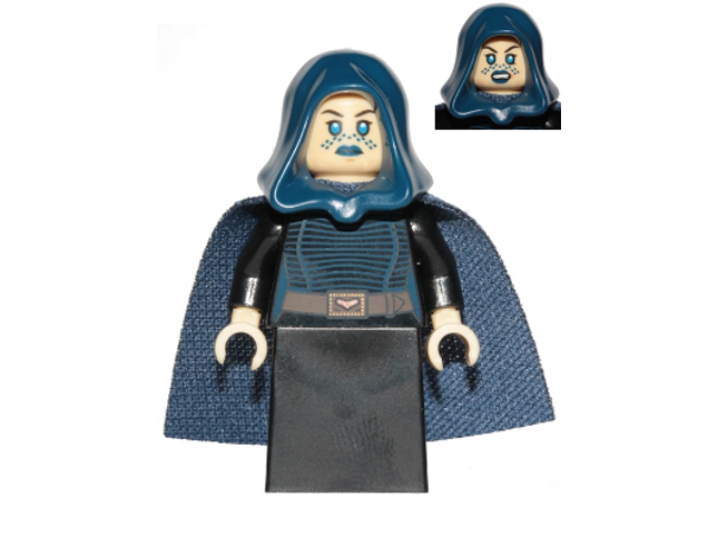 Minifig sw0909