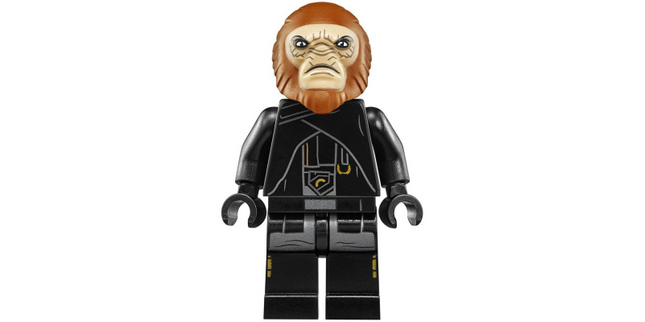 Minifig sw0954