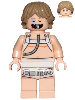 Minifig sw0957