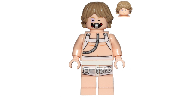 Minifig sw0957