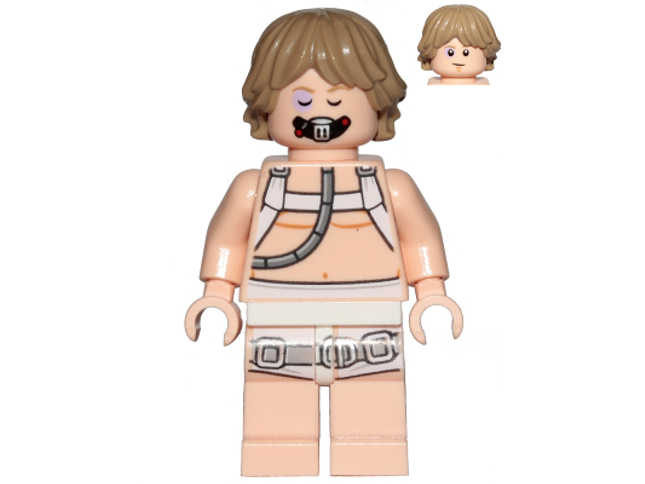 Minifig sw0957